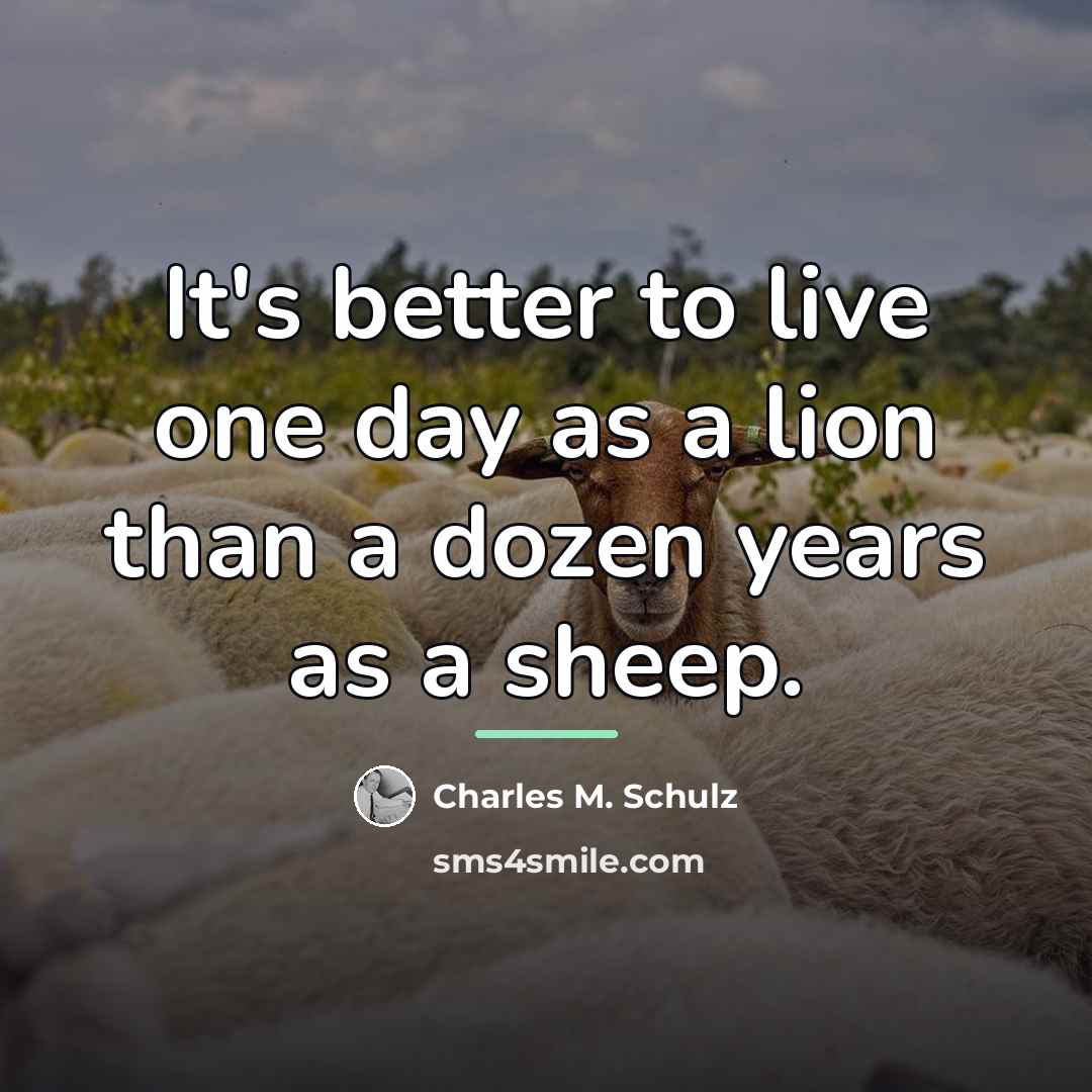 “It's better to live one day as a lion than…” quote by Charles M. Schulz