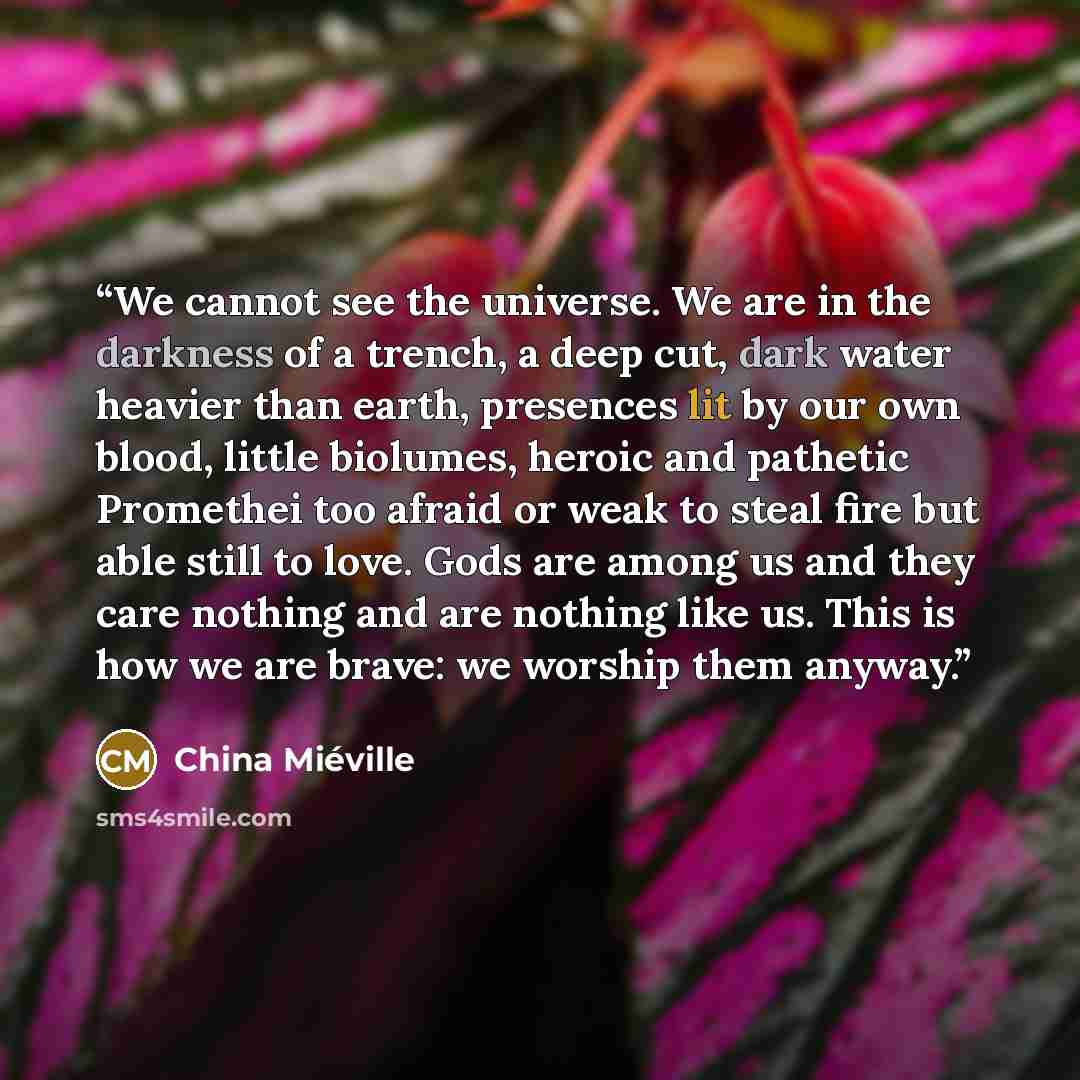 “We cannot see the universe. We are in the darkness of a trench, a deep cut, dark water heavier than earth, presences lit by our own blood, little biolumes, heroic and pathetic Promethei too afraid or weak to steal fire but able still to love. Gods are among us and they care nothing and are nothing…” quote by China Miéville