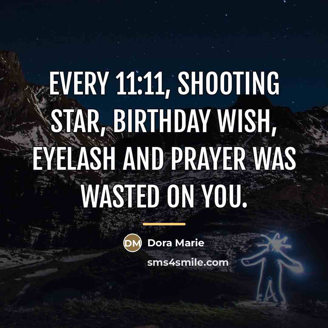 “Every 11:11, shooting star, birthday wish, eyelash and prayer was…” quote by Dora Marie