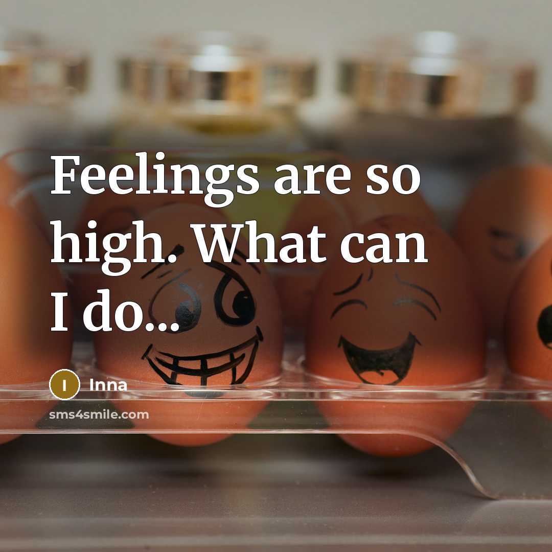 “Feelings are so high. What can I do...” quote by Inna