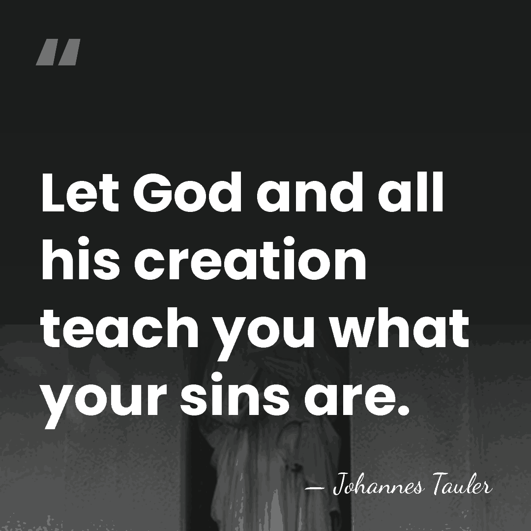 Let God and all his creation teach you what your sins are. - Johannes Tauler