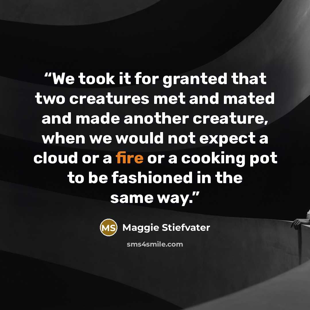 “We took it for granted that two creatures met and mated and made another creature, when we would not expect a cloud or a fire or a cooking pot to be fashioned in the same way.” quote by Maggie Stiefvater