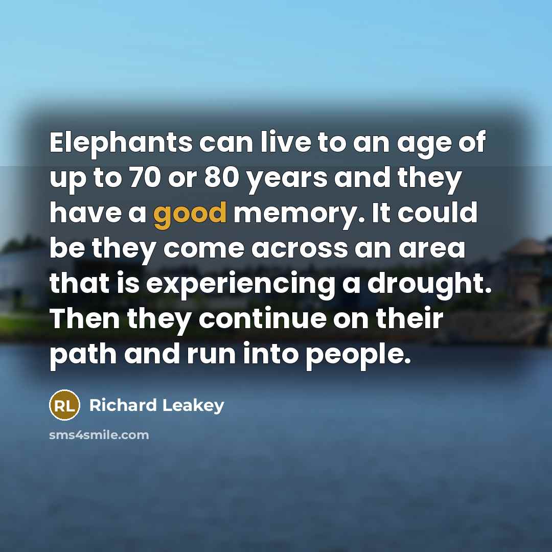 “Elephants can live to an age of up to 70…” quote by Richard Leakey
