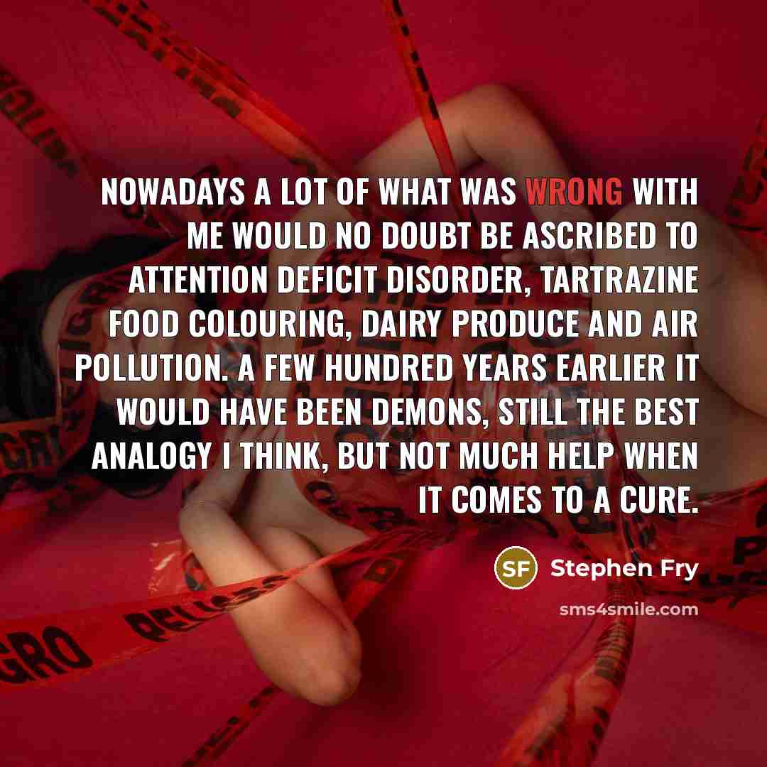 “Nowadays a lot of what was wrong with me would…” quote by Stephen Fry