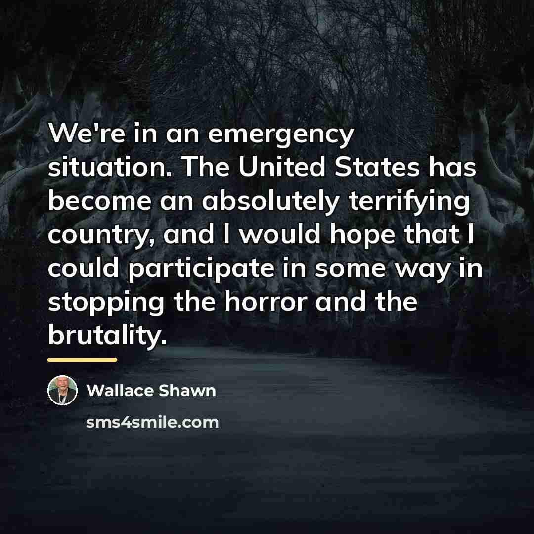 “We're in an emergency situation. The United States has become…” quote by Wallace Shawn