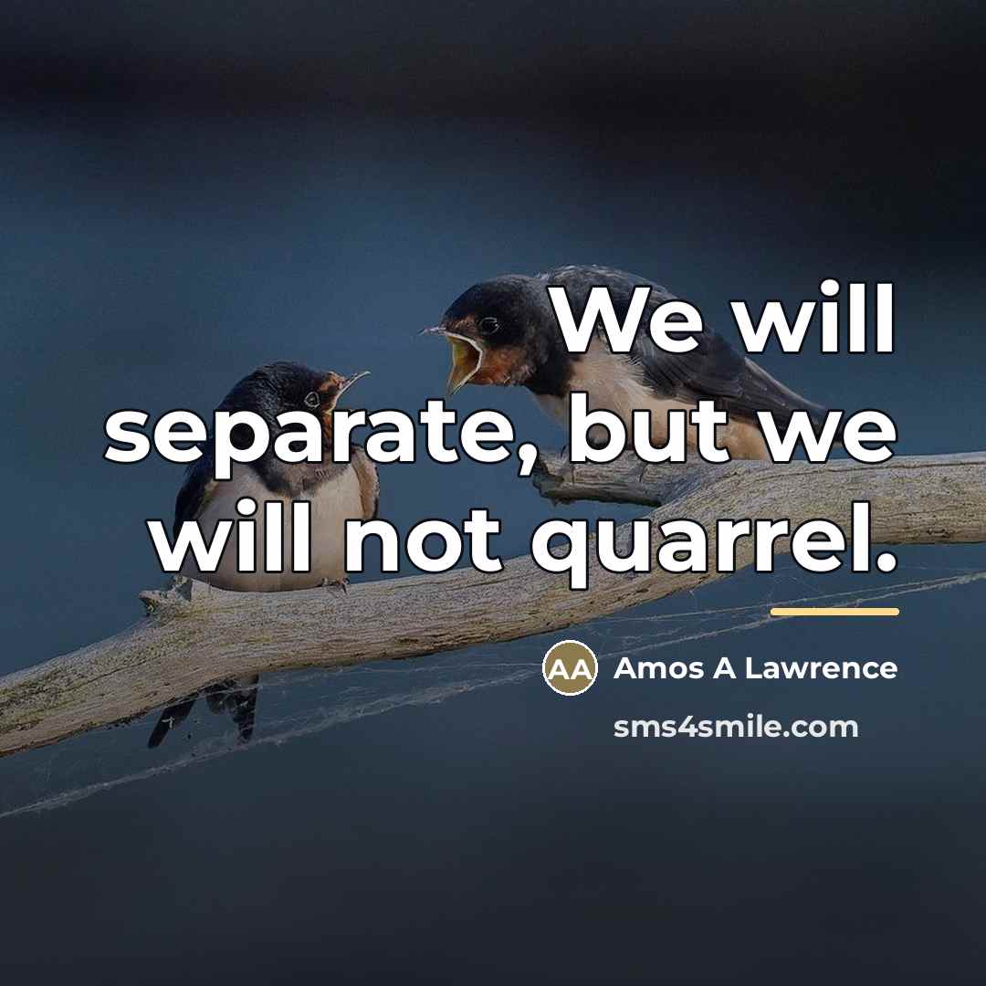 “We will separate, but we will not quarrel.…” quote by Anonymous