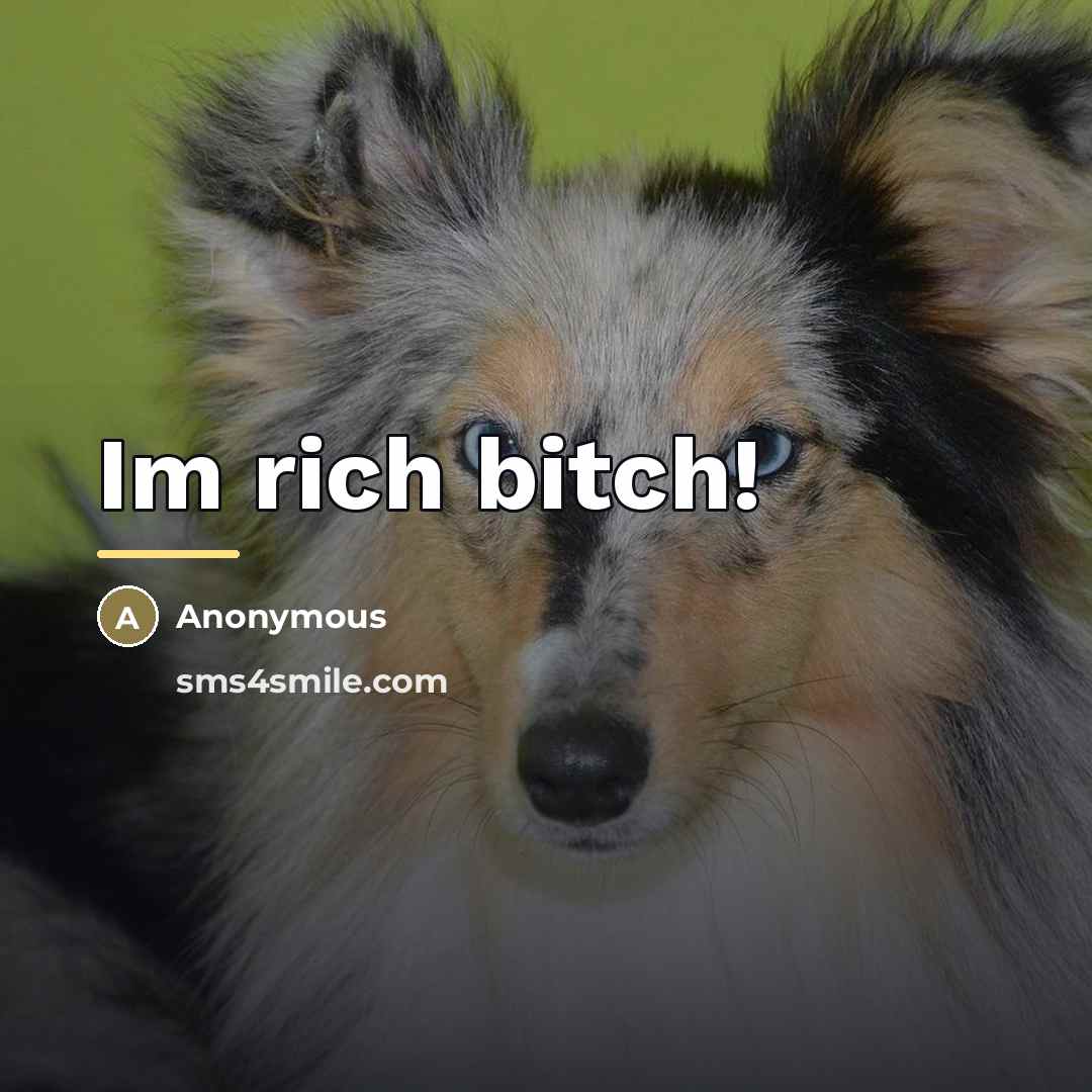 “Im rich bitch!…” quote by Anonymous