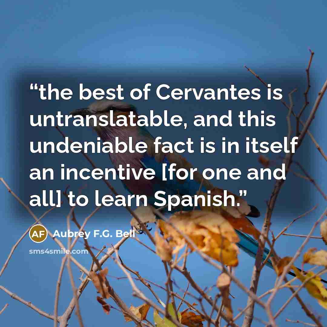 “the best of Cervantes is untranslatable, and this undeniable fact is in itself an incentive [for one and all] to learn Spanish.” quote by Aubrey F.G. Bell
