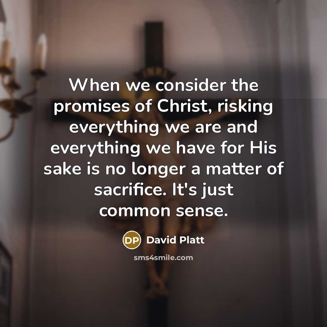 “When we consider the promises of Christ, risking everything we…” quote by David Platt