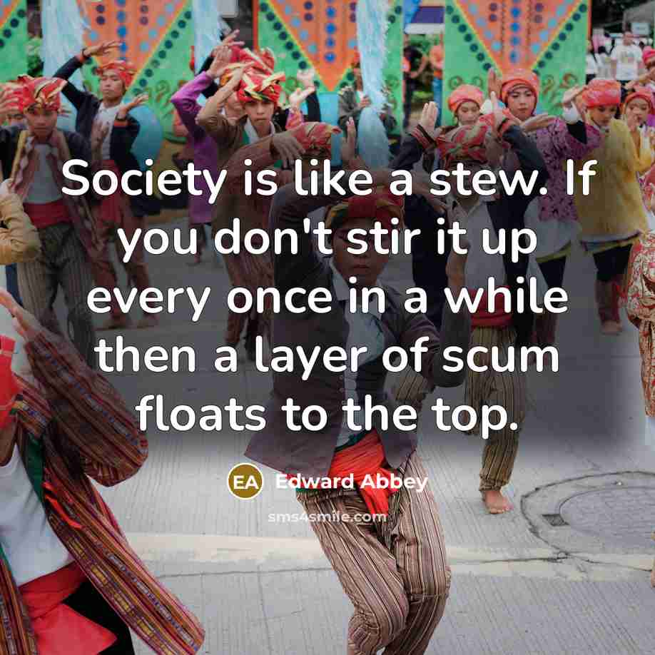 “Society is like a stew. If you don't stir it…” quote by Edward Abbey