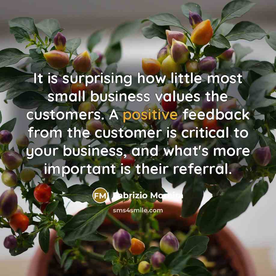 “It is surprising how little most small business values the…” quote by Fabrizio Moreira