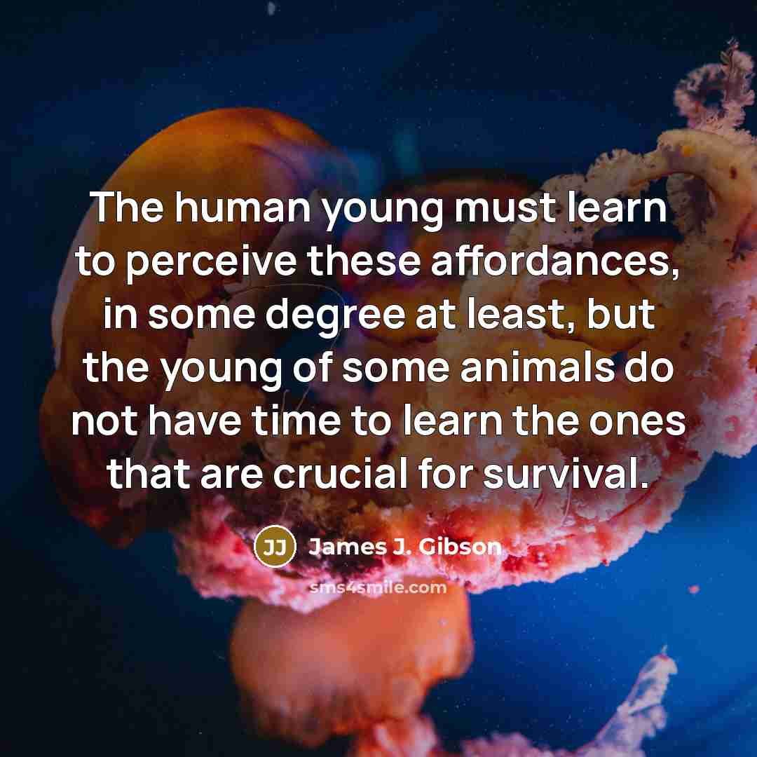 “The human young must learn to perceive these affordances, in…” quote by James J. Gibson