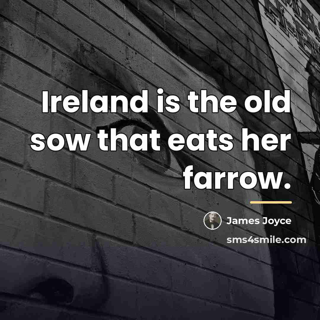 “Ireland is the old sow that eats her farrow.…” quote by James Joyce