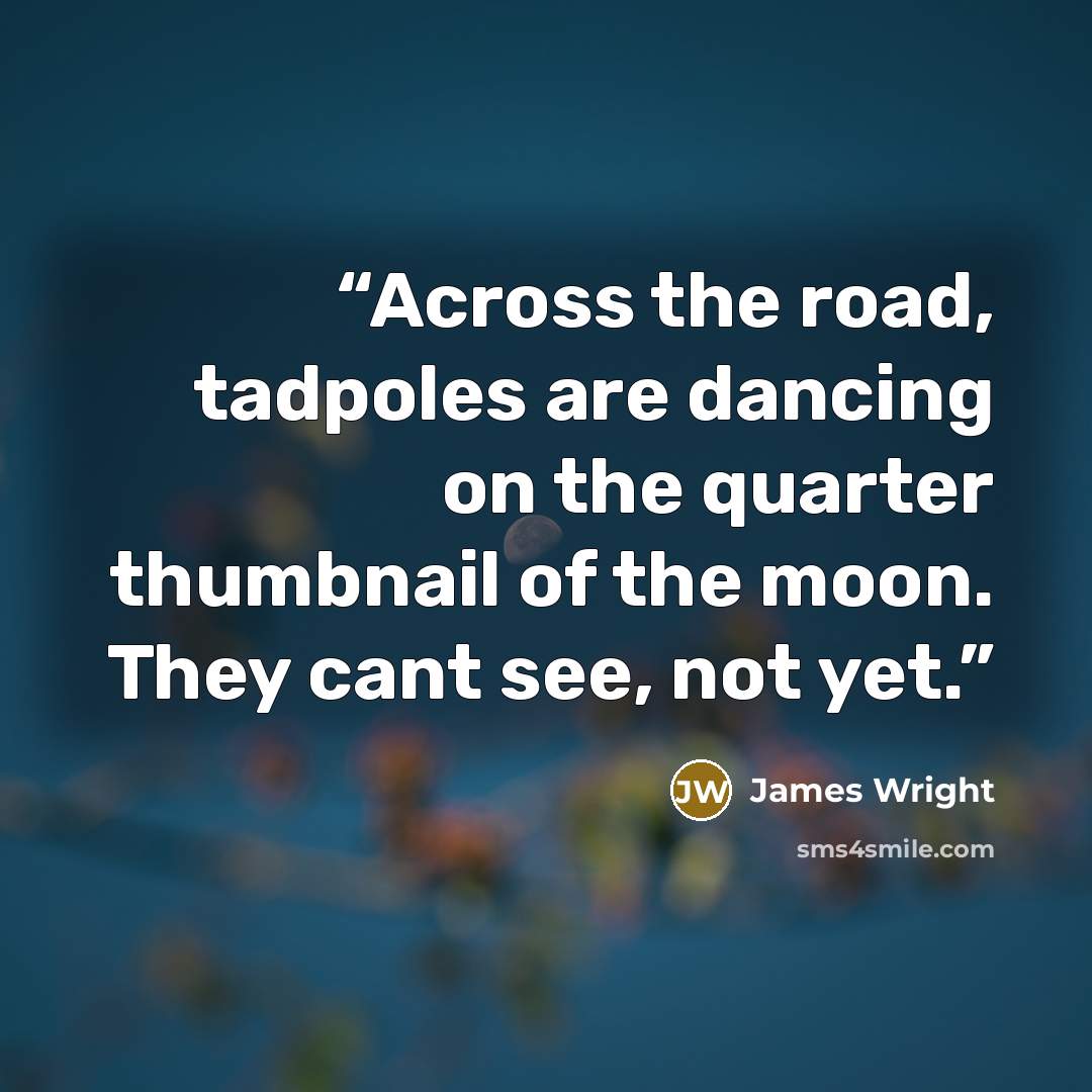 “Across the road, tadpoles are dancing on the quarter thumbnail of the moon. They cant see, not yet.” quote by James Wright