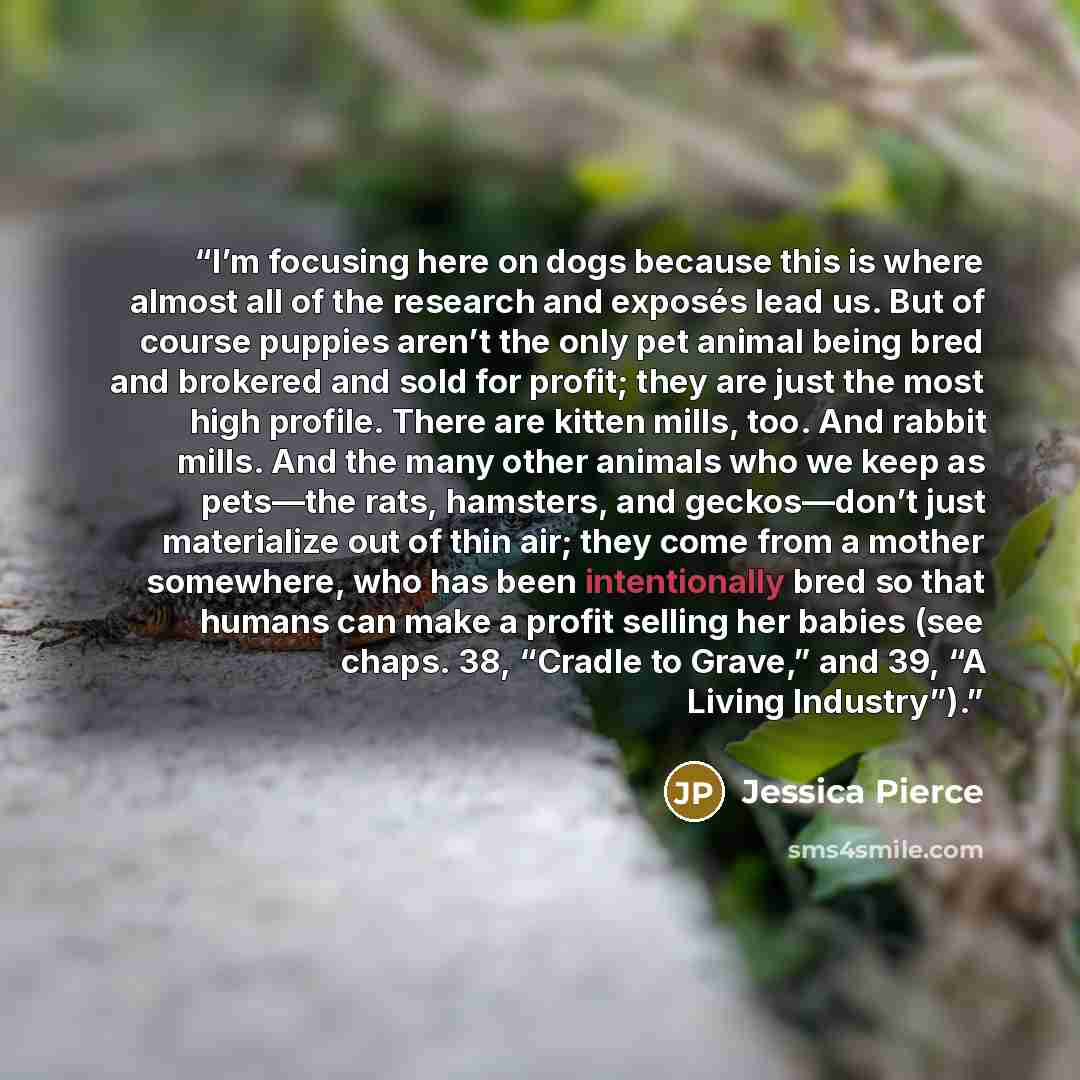 “I’m focusing here on dogs because this is where almost all of the research and exposés lead us. But of course puppies aren’t the only pet animal being bred and brokered and sold for profit; they are just the most high profile. There are kitten mills, too. And rabbit mills. And the many other…” quote by Jessica Pierce