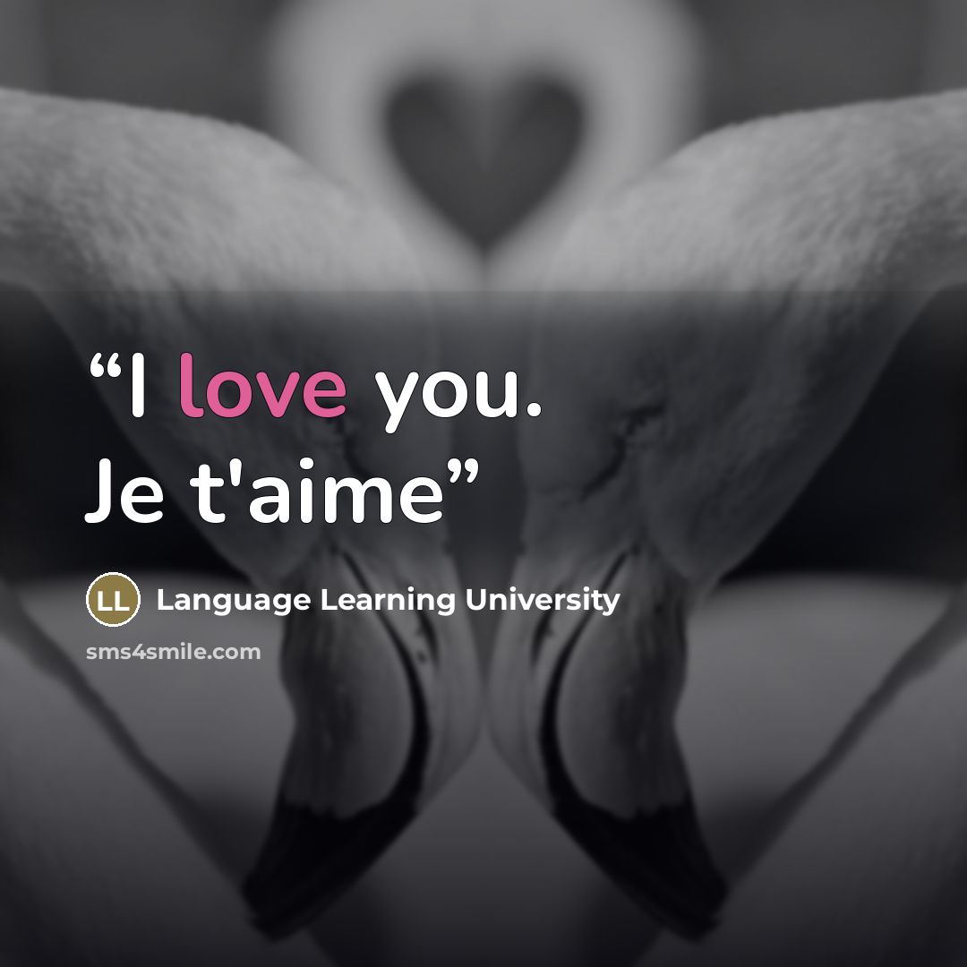 “I love you. Je t'aime” quote by Language Learning University