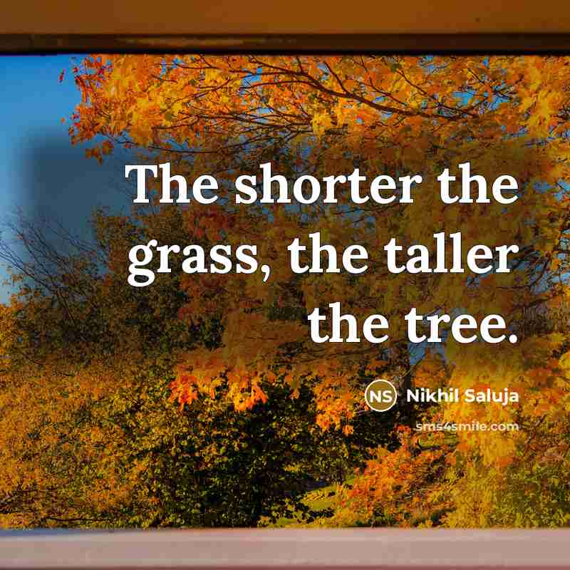 “The shorter the grass, the taller the tree.…” quote by Nikhil Saluja
