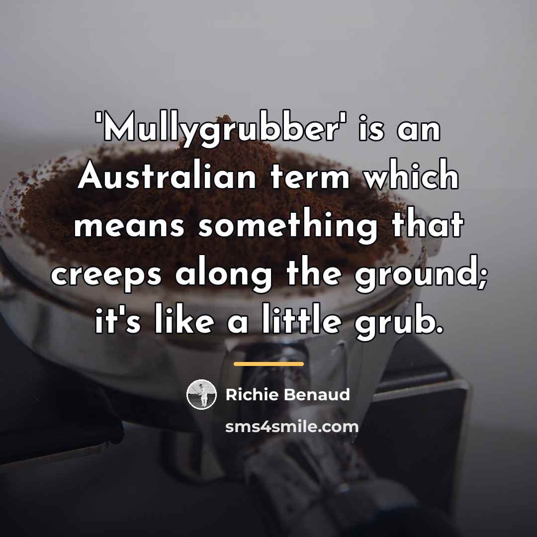 “'Mullygrubber' is an Australian term which means something that creeps…” quote by Richie Benaud