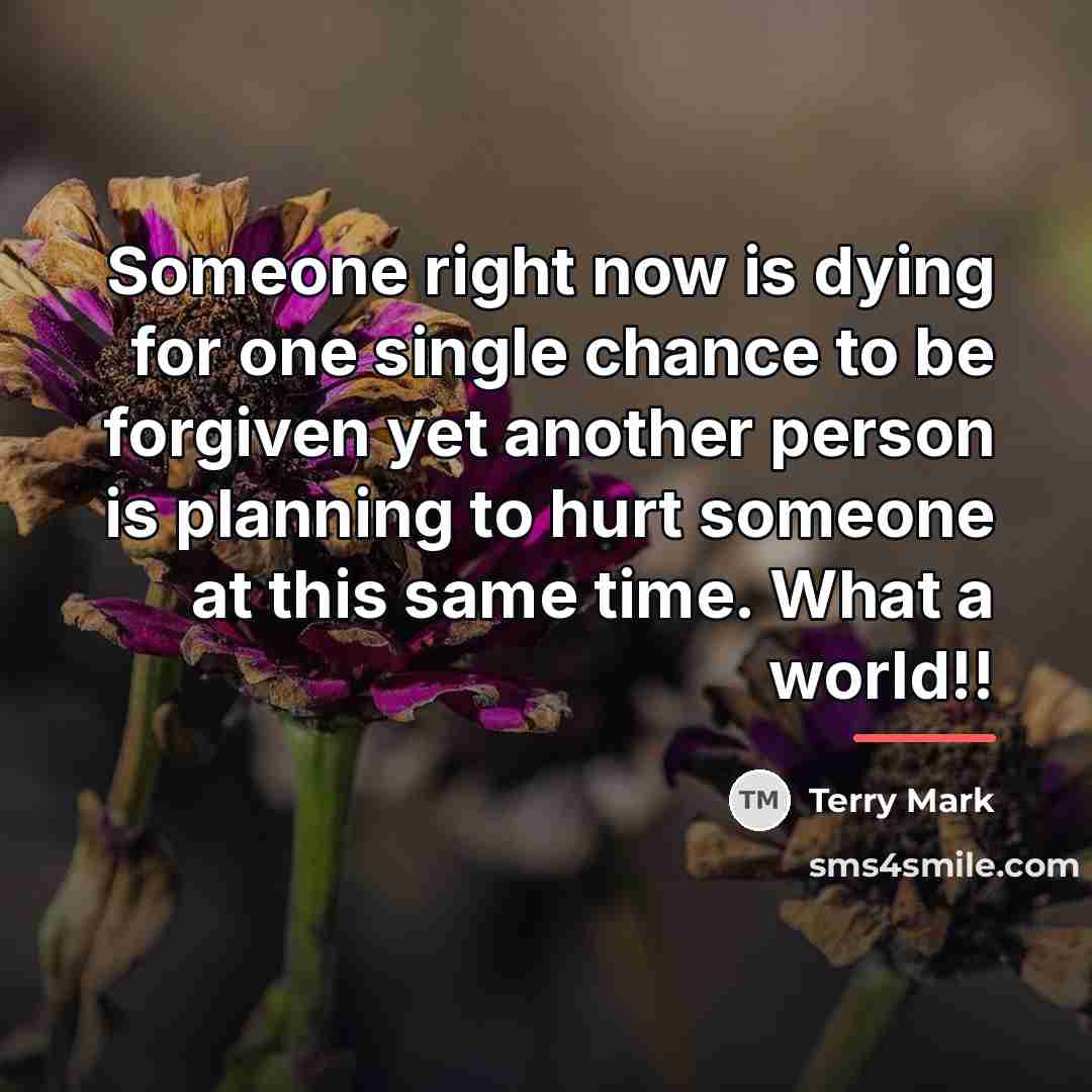 “Someone right now is dying for one single chance to…” quote by Terry Mark