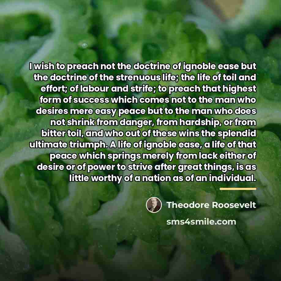 “I wish to preach not the doctrine of ignoble ease…” quote by Theodore Roosevelt