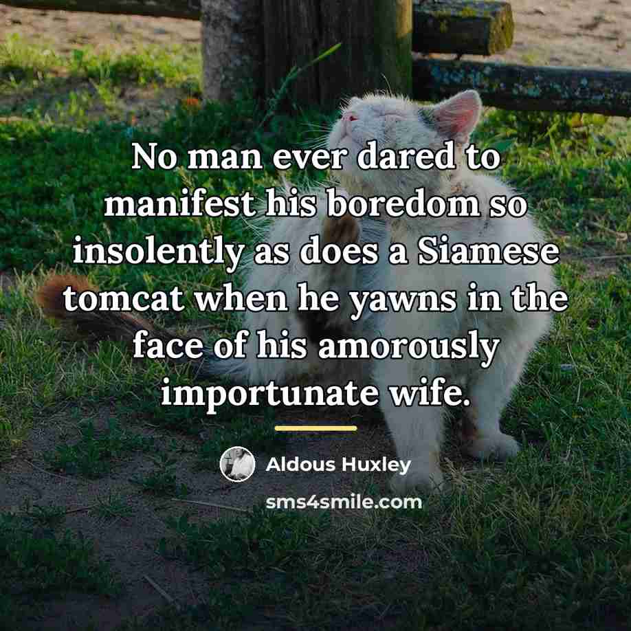 “No man ever dared to manifest his boredom so insolently…” quote by Aldous Huxley