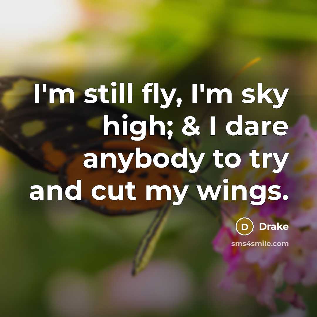 “I'm still fly, I'm sky high; & I dare anybody…” quote by Drake