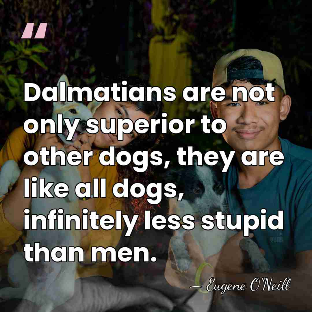 Dalmatians are not only superior to other dogs, they are like all&hellip; - Eugene O'Neill