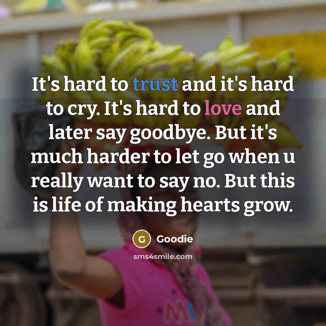 “It's hard to trust and it's hard to cry. It's hard to love and later say goodbye. But it's much harder to let go when u really want to say no. But this is life of making hearts grow.” quote by Goodie