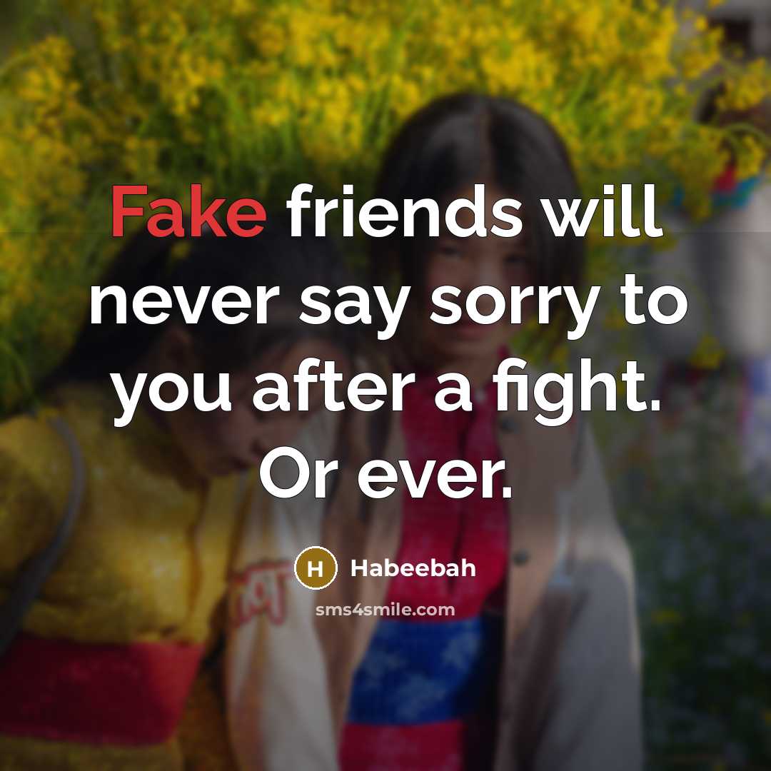 “Fake friends will never say sorry to you after a…” quote by Habeebah