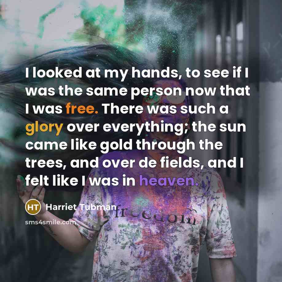 “I looked at my hands, to see if I was…” quote by Harriet Tubman