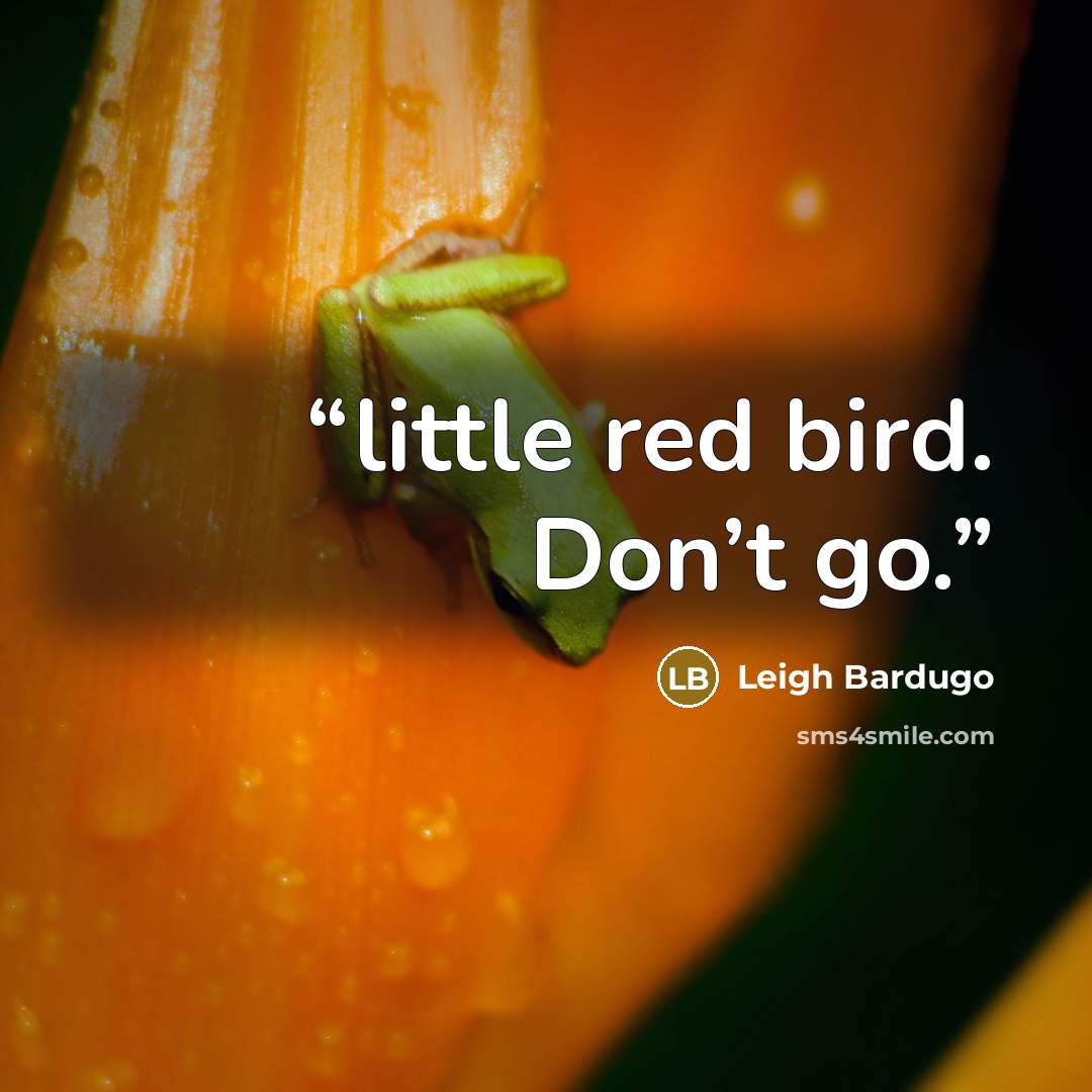 “little red bird. Don’t go.” quote by Leigh Bardugo