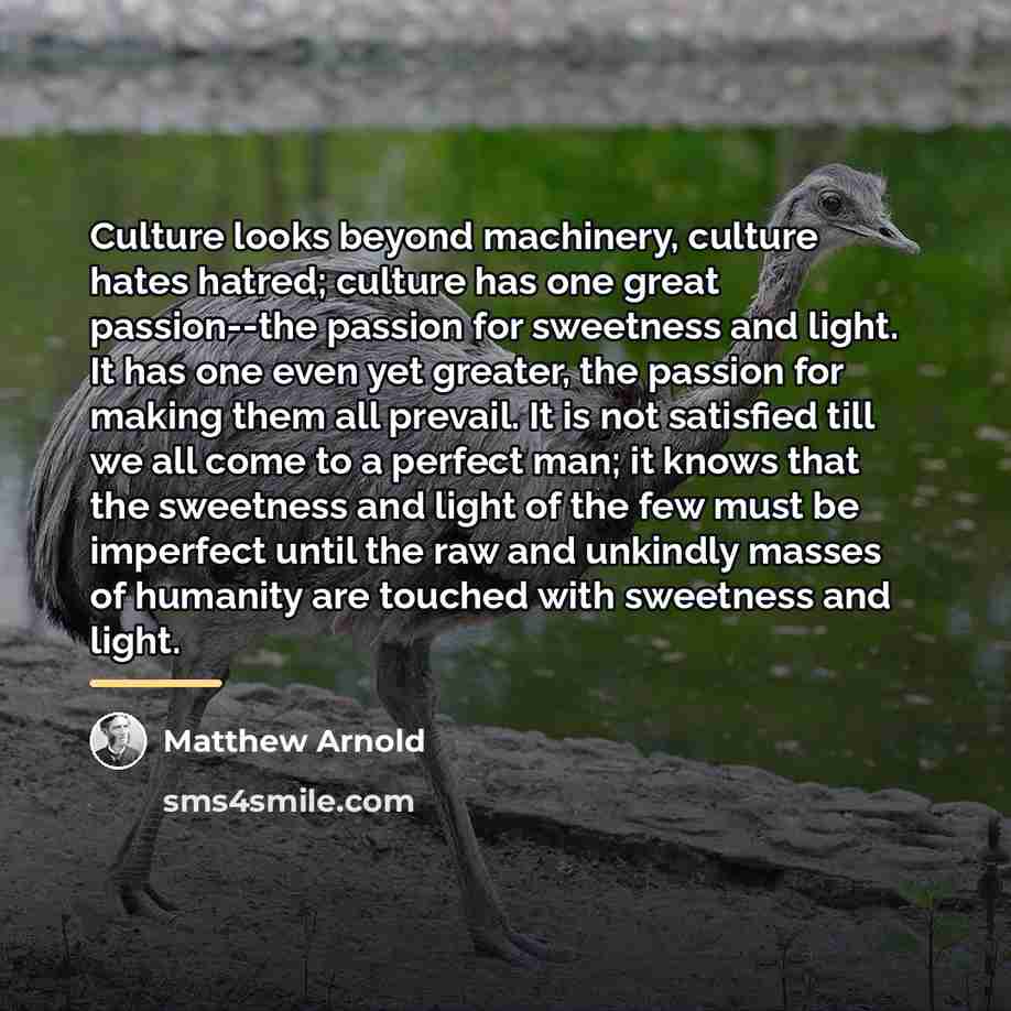 “Culture looks beyond machinery, culture hates hatred; culture has one…” quote by Matthew Arnold