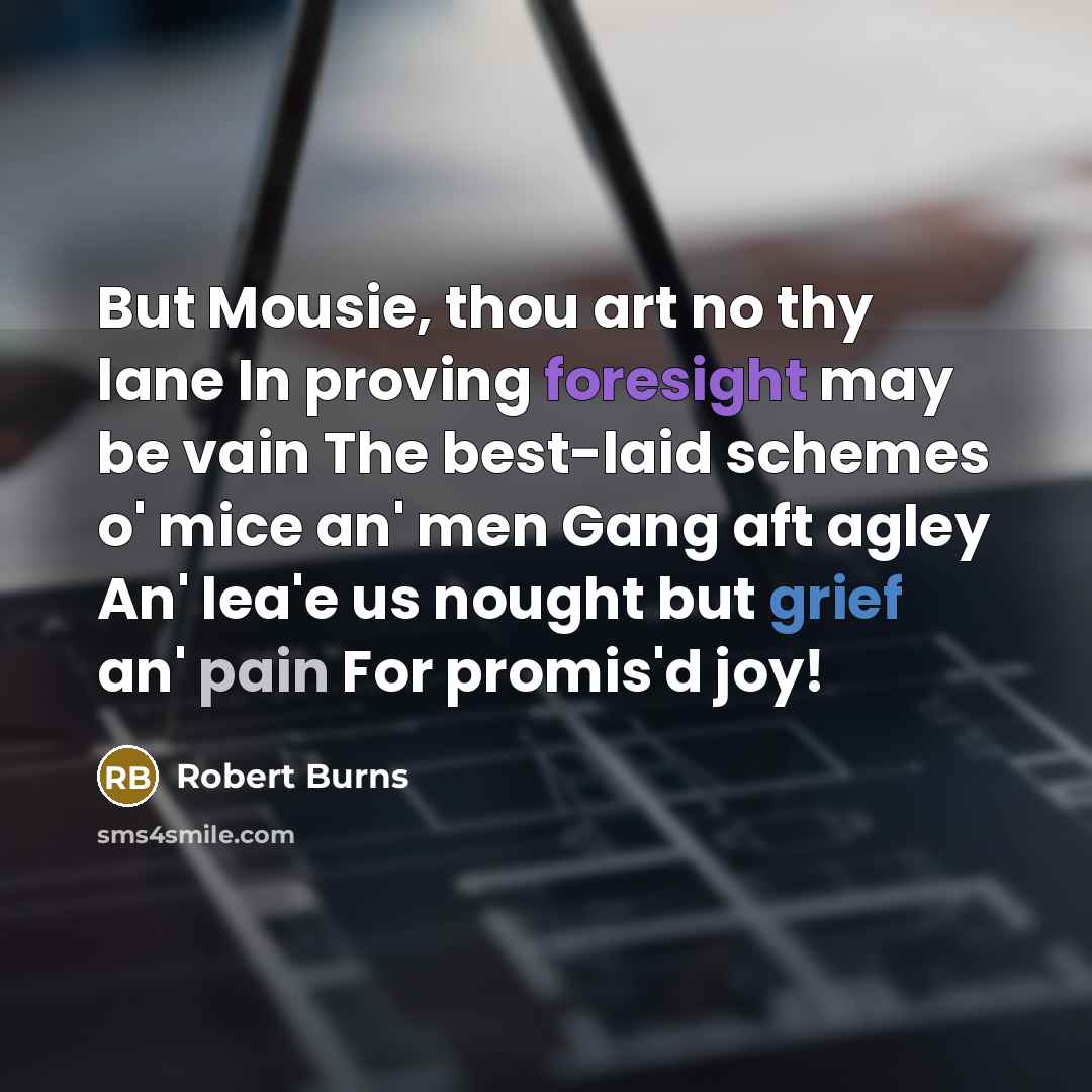 “But Mousie, thou art no thy lane In proving foresight…” quote by Robert Burns