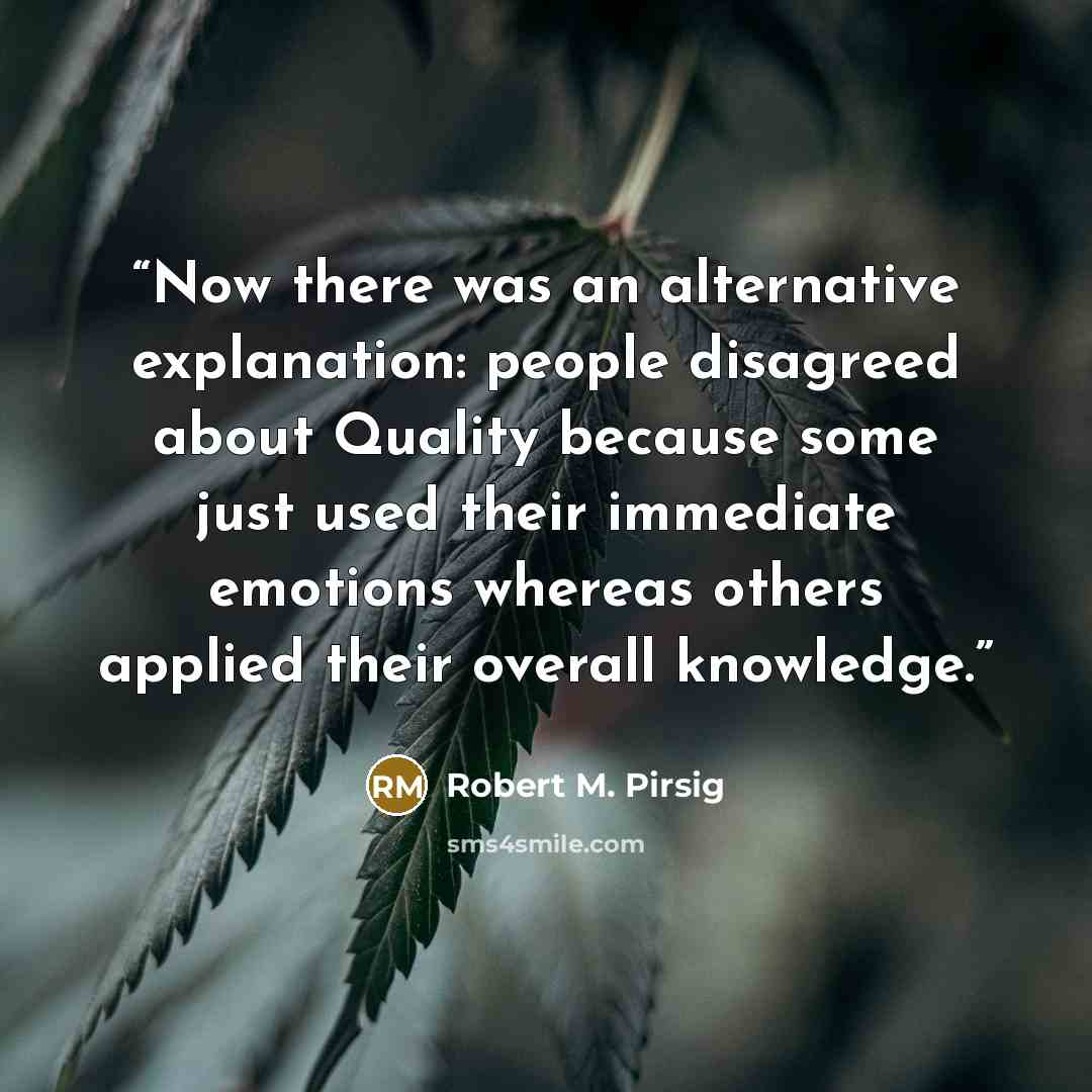 “Now there was an alternative explanation: people disagreed about Quality because some just used their immediate emotions whereas others applied their overall knowledge.” quote by Robert M. Pirsig
