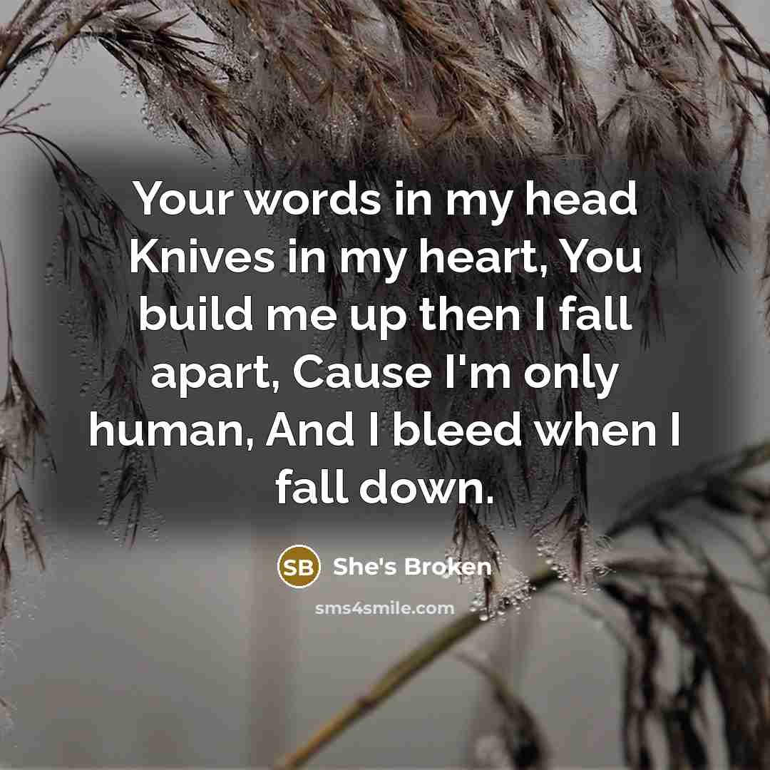 “Your words in my head Knives in my heart, You build me up then I fall apart, Cause I'm only human, And I bleed when I fall down.” quote by She's Broken