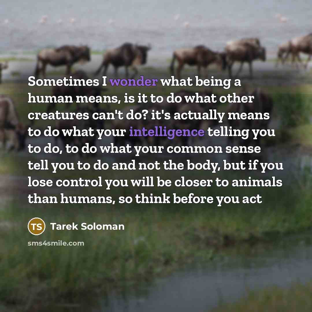“Sometimes I wonder what being a human means, is it…” quote by Tarek Soloman