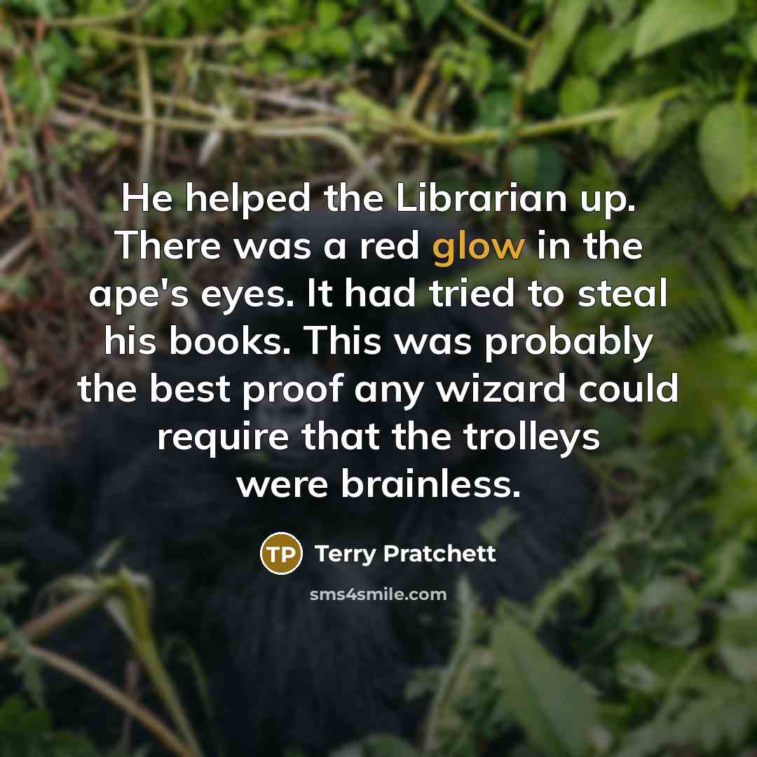 “He helped the Librarian up. There was a red glow…” quote by Terry Pratchett