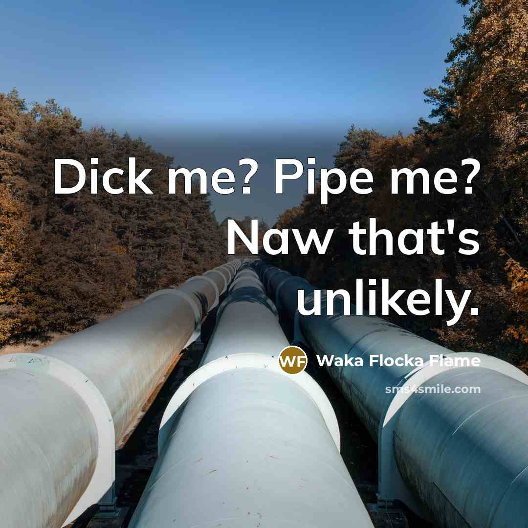 “Dick me? Pipe me? Naw that's unlikely.…” quote by Waka Flocka Flame