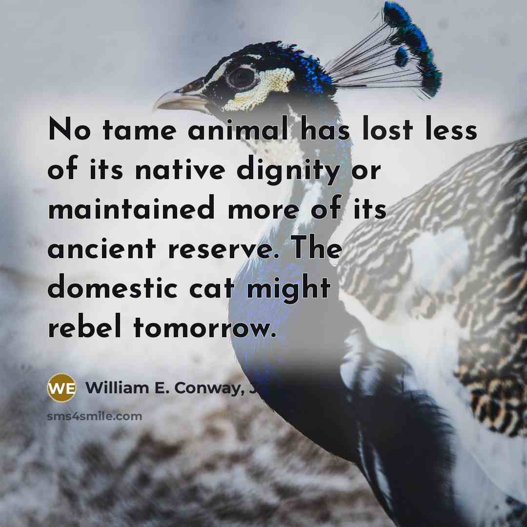 “No tame animal has lost less of its native dignity…” quote by William E. Conway, Jr