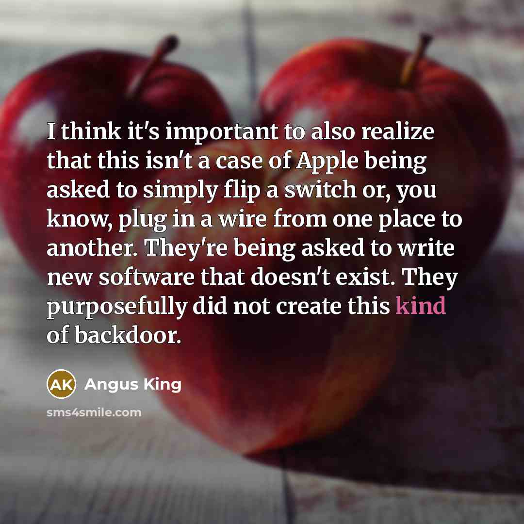 “I think it's important to also realize that this isn't…” quote by Angus King