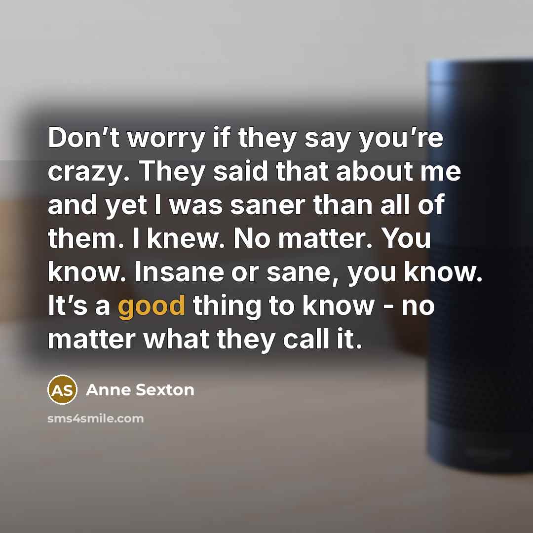 “Don’t worry if they say you’re crazy. They said that…” quote by Anne Sexton
