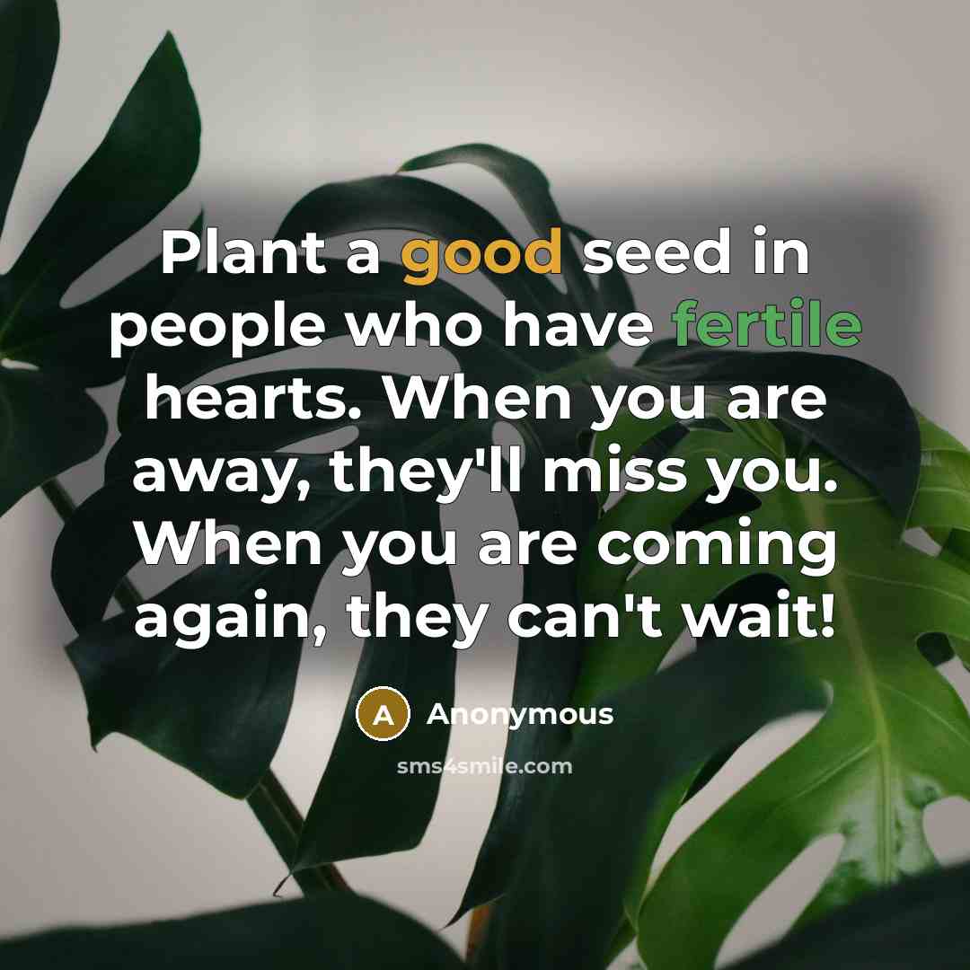 “Plant a good seed in people who have fertile hearts. When you are away, they'll miss you. When you are coming again, they can't wait!” quote by Anonymous