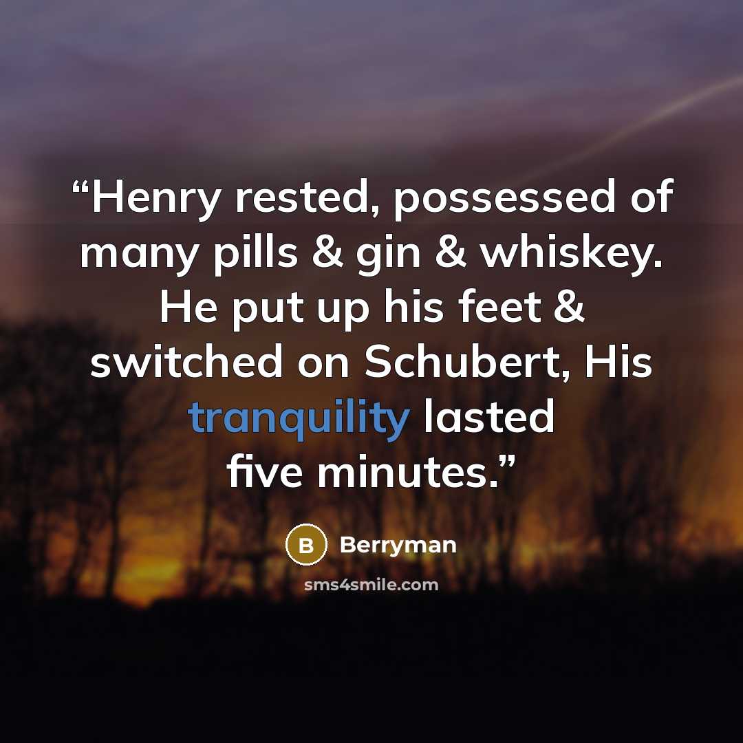 “Henry rested, possessed of many pills & gin & whiskey. He put up his feet & switched on Schubert, His tranquility lasted five minutes.” quote by Berryman