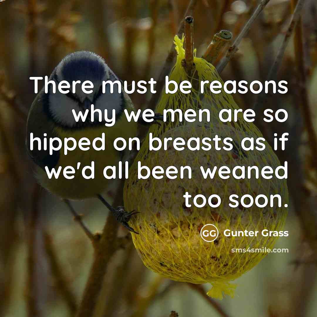“There must be reasons why we men are so hipped…” quote by Gunter Grass