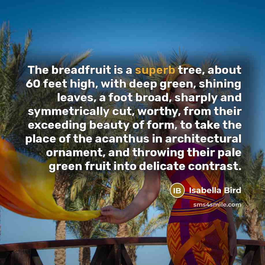 “The breadfruit is a superb tree, about 60 feet high,…” quote by Isabella Bird