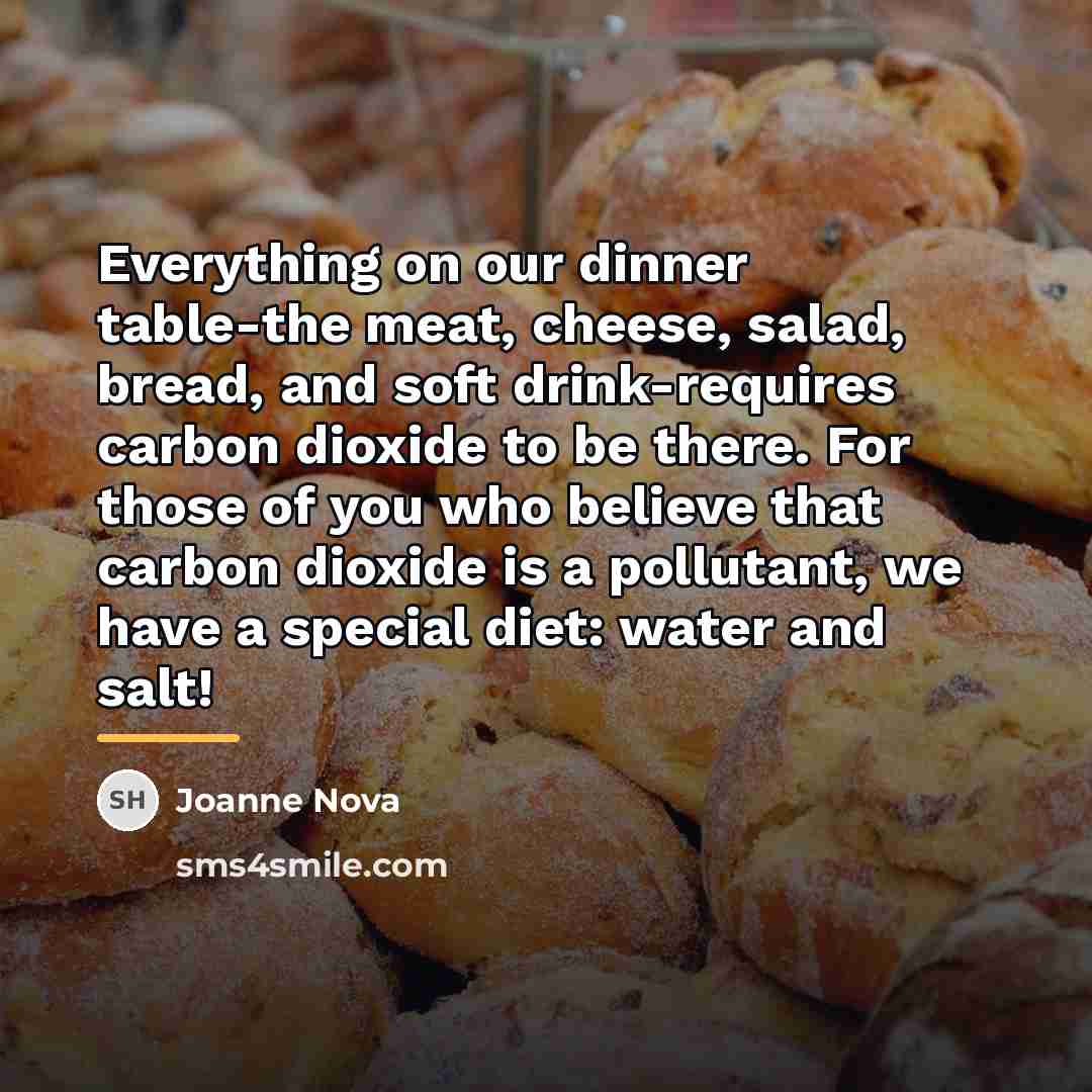 “Everything on our dinner table-the meat, cheese, salad, bread, and…” quote by Joanne Nova