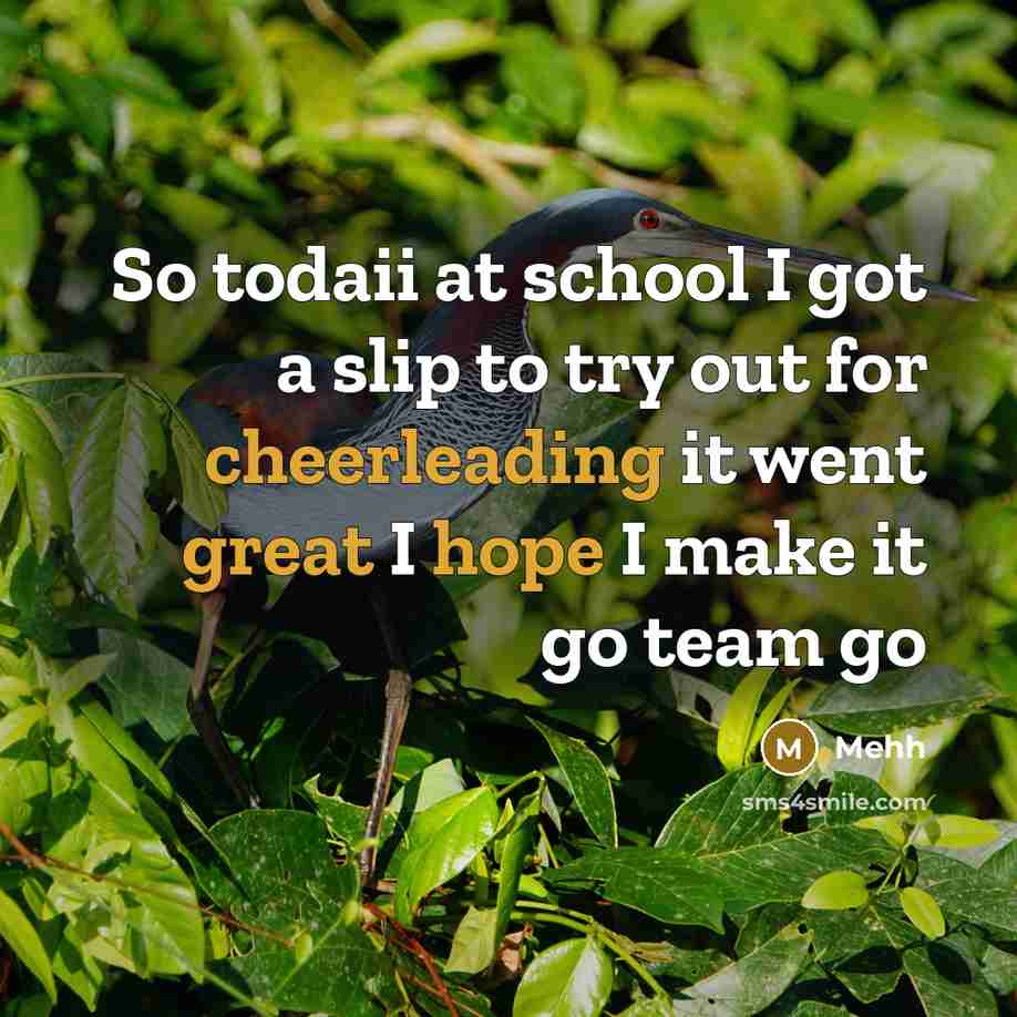 “So todaii at school I got a slip to try…” quote by Mehh