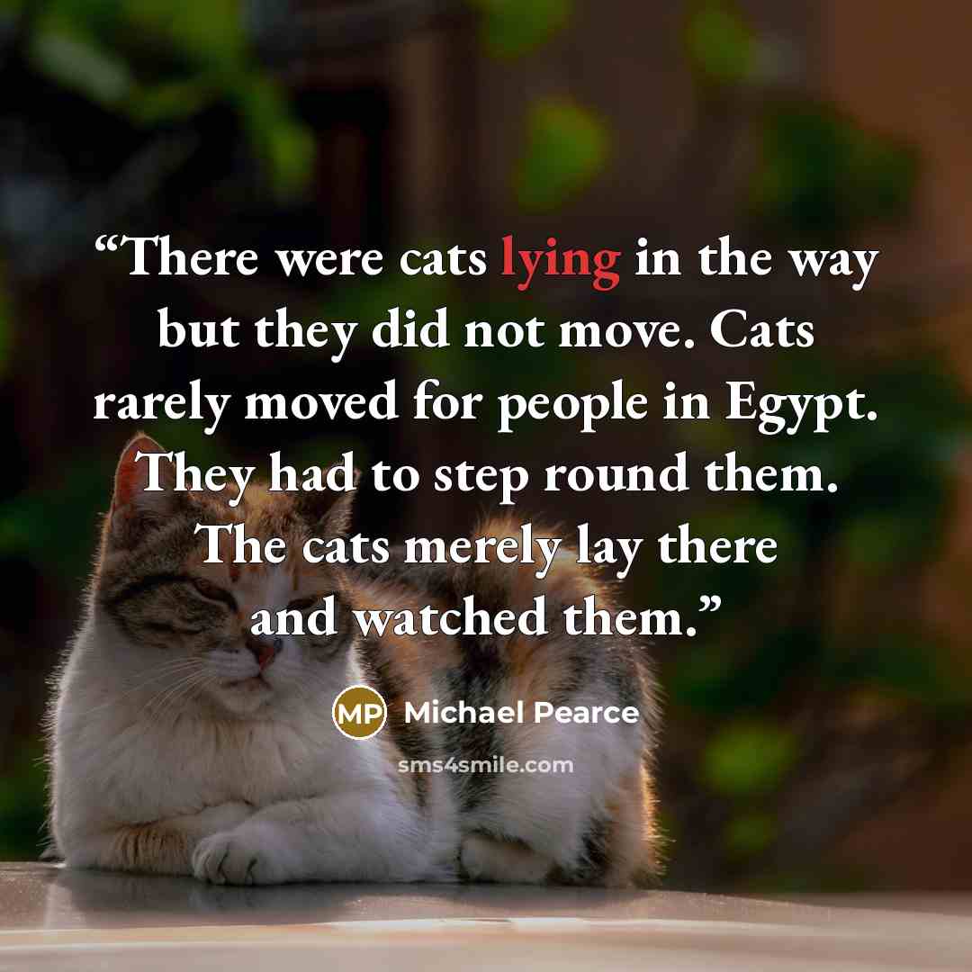 “There were cats lying in the way but they did not move. Cats rarely moved for people in Egypt. They had to step round them. The cats merely lay there and watched them.” quote by Michael Pearce