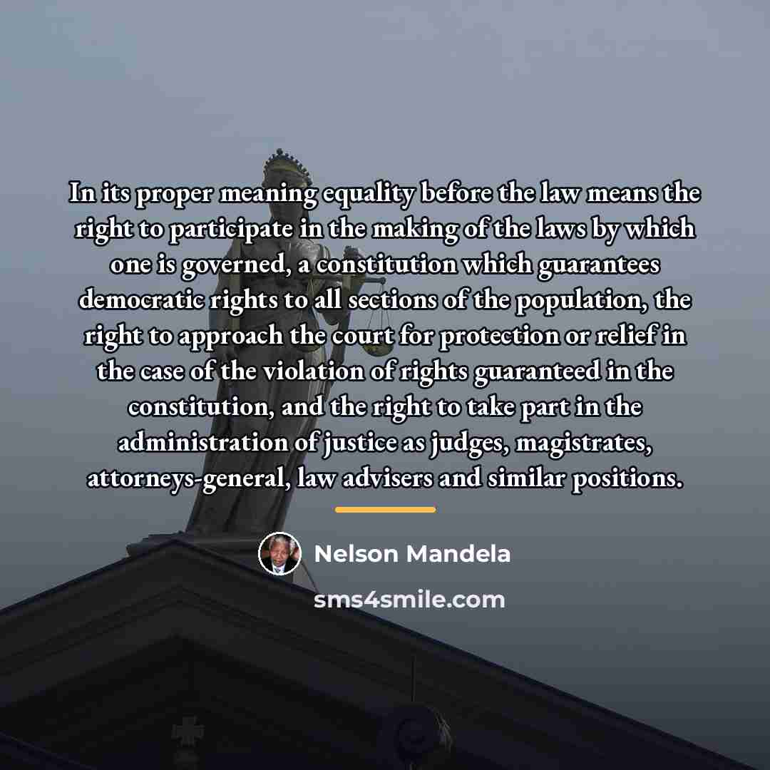 “In its proper meaning equality before the law means the…” quote by Nelson Mandela