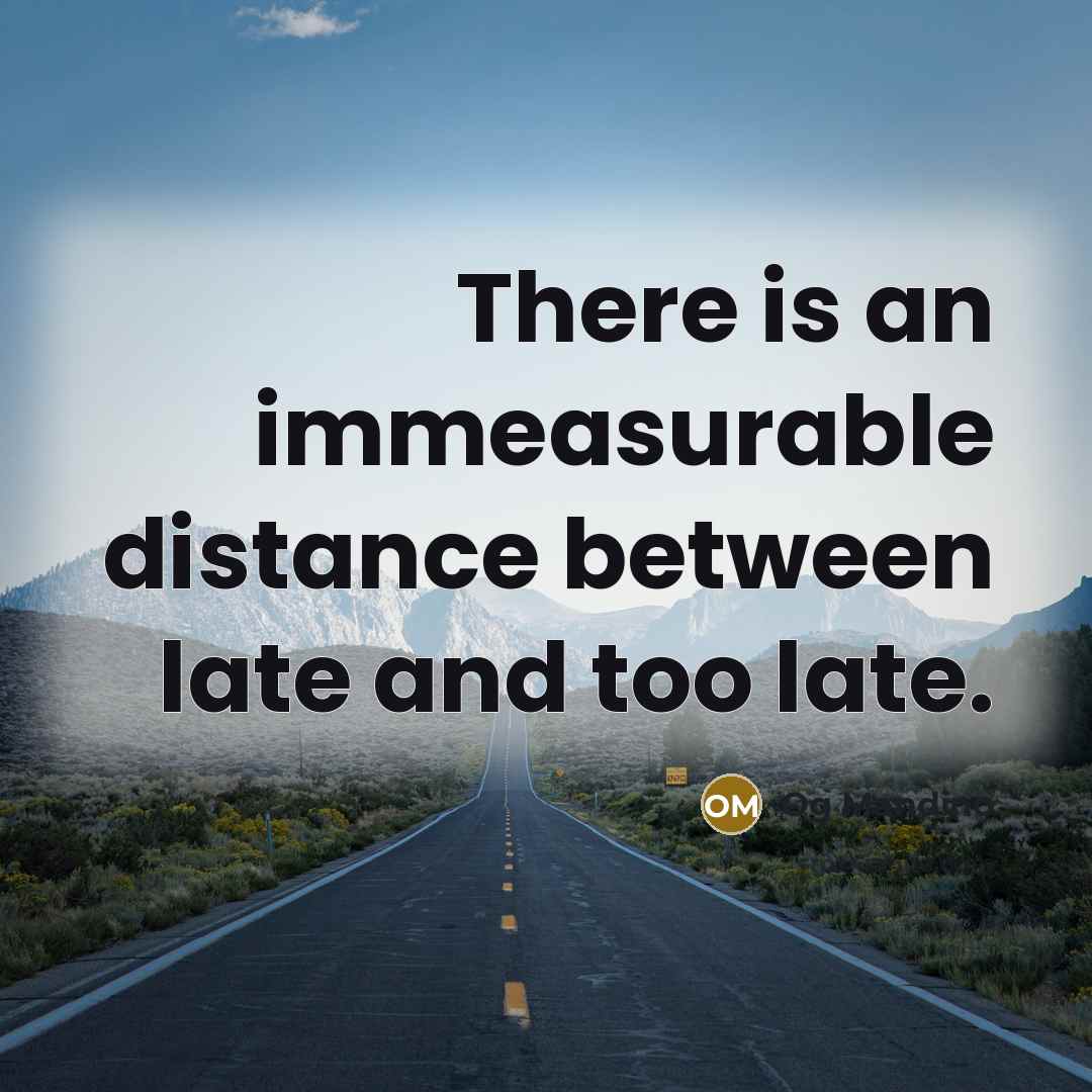 “There is an immeasurable distance between late and too late.…” quote by Og Mandino